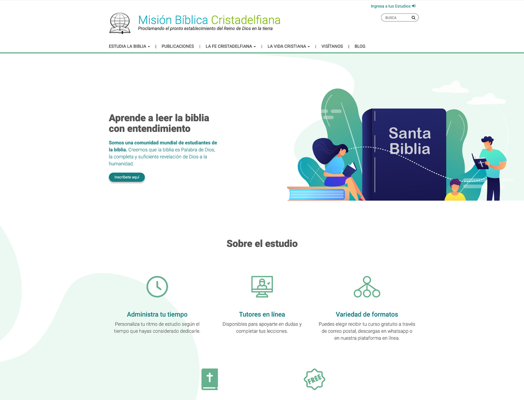 shopify website design